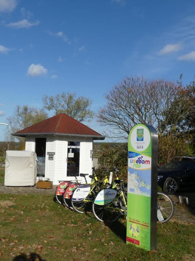 Landhaus Am Haff Stolpe auf Usedom Екстериор снимка
