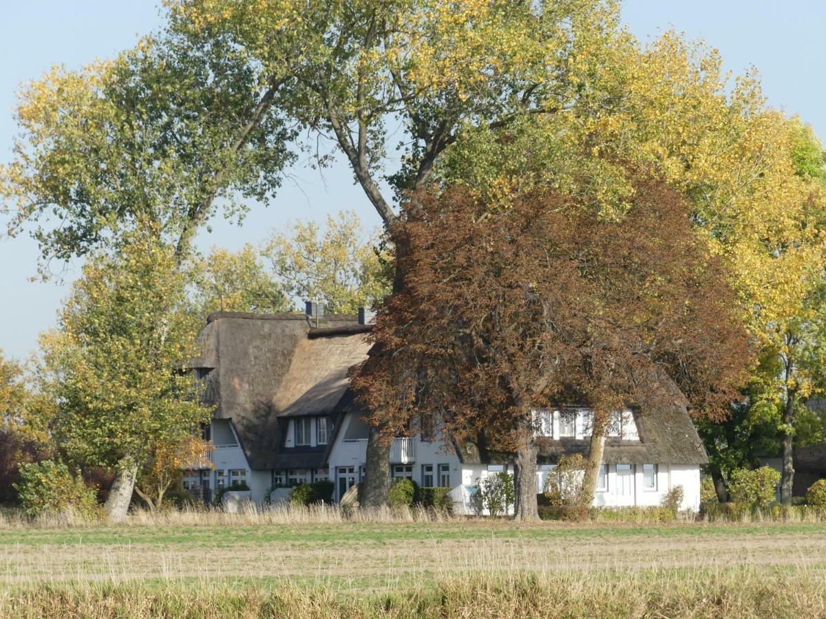 Landhaus Am Haff Stolpe auf Usedom Екстериор снимка